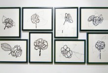 2009  Camellia Series and Other Sketches